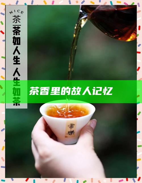茶香里的故人记忆