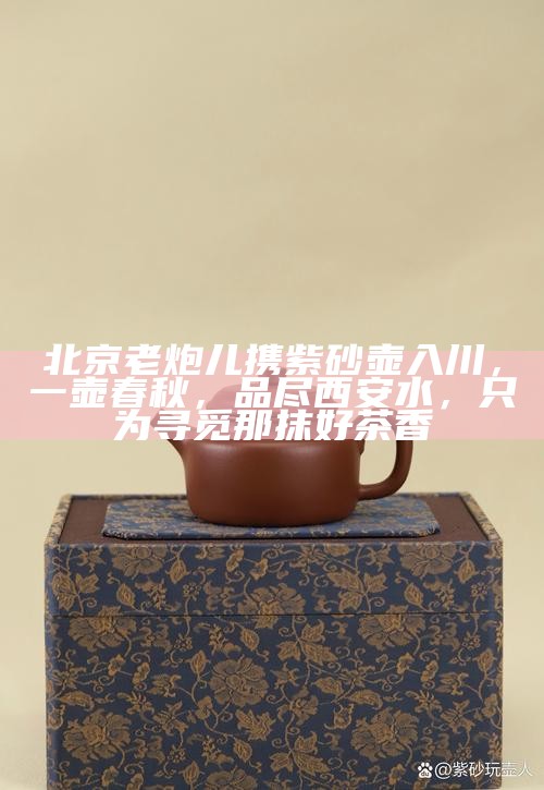 北京老炮儿携紫砂壶入川，一壶春秋，品尽西安水，只为寻觅那抹好茶香
