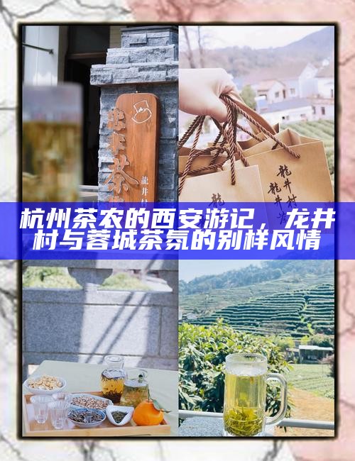 杭州茶农的西安游记,龙井村与蓉城茶氛的别样风情