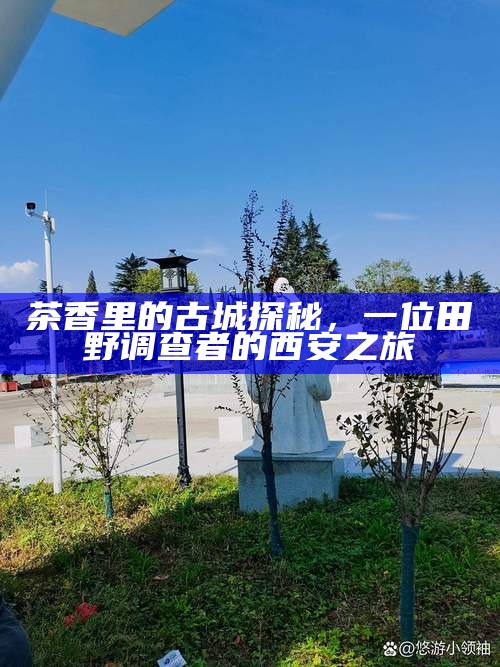 茶香里的古城探秘，一位田野调查者的西安之旅
