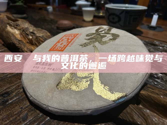 西安嬢嬢与我的普洱茶,一场跨越味觉与文化的邂逅